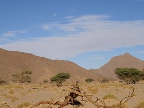 2006_Algeria_Tadrart.jpg