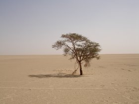 2006_Algeria_near_Niger.jpg