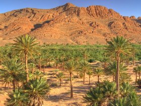 2007_Morocco_Figuig_secret-spot.jpg