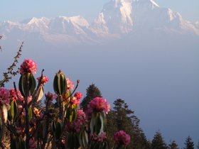 2009_Nepal_Daulaghiri.jpg