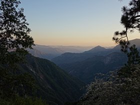 2013_USA_Sequoia-forest.jpg