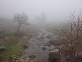 2014_France_Cevennes_foggy.jpg